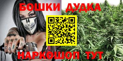 apvp Лесной