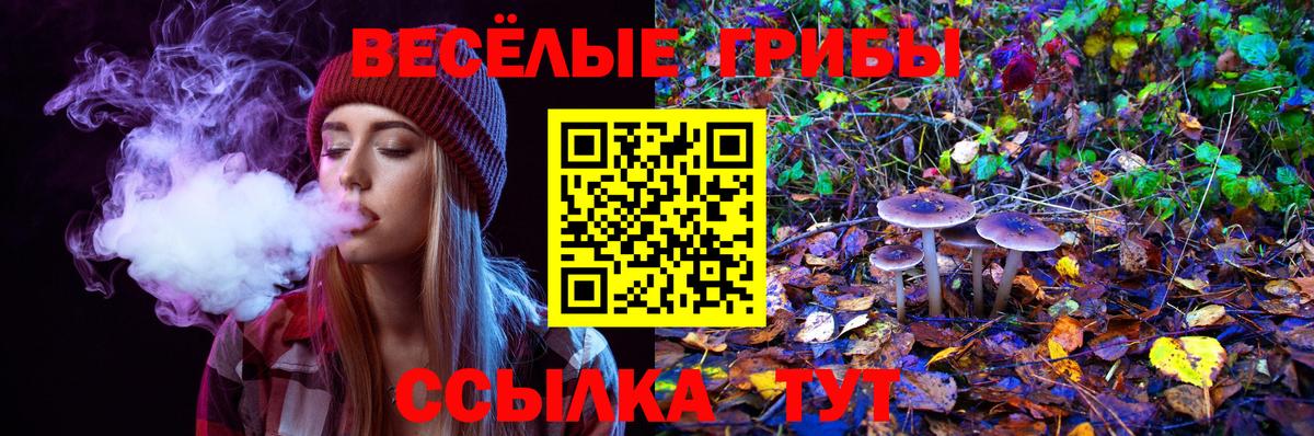 Псилоцибиновые грибы GOLDEN TEACHER Россошь